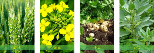 【甘南政府招商推介】立足生态优势,推动绿色发展,打造青藏高原上的生态文明高地